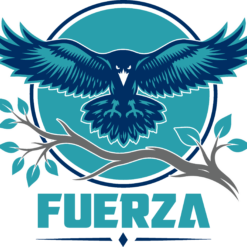 7th Grade Fuerza